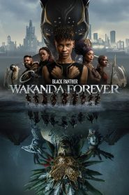 Black Panther: Wakanda Forever (2022) Монгол хадмал